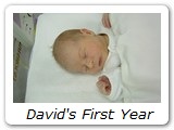 David's First Year